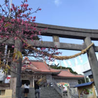 初詣に行ってきました。