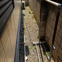 32℃が涼しく感じるなんて…