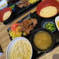 苦手な暑さとの戦いの日々