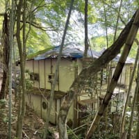 ユルツーハイ日記