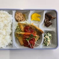 太陽弁当6/30日〜7/4日