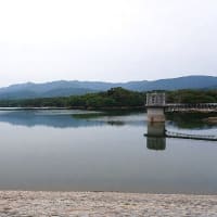 満濃池一周～