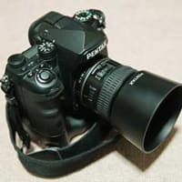 クイックシフトフォーカスが便利な、smc PENTAX D FA MACRO 50mmF2.8。