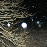 令和7年2月3日・2２：45の空模様（薄っすらと積雪になり始めた東祖谷のお天気です）