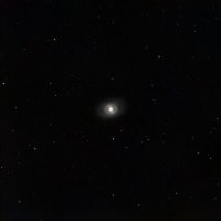 M95 (NGC3351) しし座