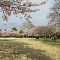 北海道-オニウシ公園