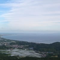 今日の景色。