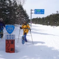 snow shoeing in 北八ヶ岳