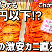 激安⁉︎佐渡島の蟹直売所‼︎