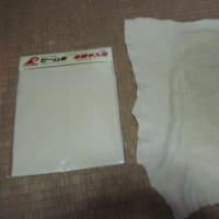 タチアナ・ニコラーエワ演奏 ベートーヴェン ピアノソナタ第32