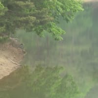 5湯目