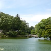 名勝、景勝、歴史三冠指定「町田薬師池公園」の全容