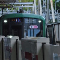 多摩川台公園あじさい園　　あじさい園の色々のあじさいたち　　　　12