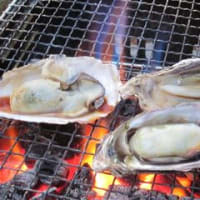 室津の牡蠣