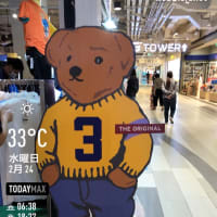 今日の１枚を投稿しよう
