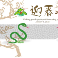 Y3：2025年　巳年の蛇のイラスト年賀状