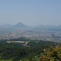 山の子は元気だょ
