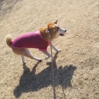 クリンへの想いは尽きなくて・・・316
