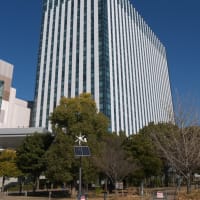１月のお台場：ウエストプロムナード散策道を通り抜けてダイバーシティ東京前へ　ＰＡＲＴ２