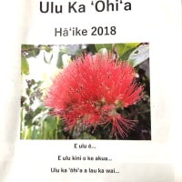 『ウルカオヒア Hāʻike』