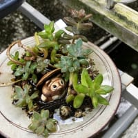 工事なのか