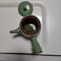 ペットボトルに冷たいお茶を