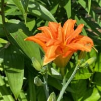 菊文研講座「再（彩・差異）発見！装飾古墳の世界」第２回目