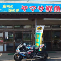 男鹿半島へ２０２５（岩ガキを喰らう編）