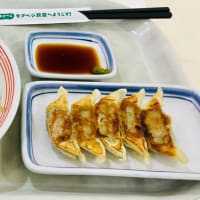 スモール皿うどん
