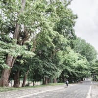 白い道