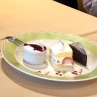 送別会&診察日