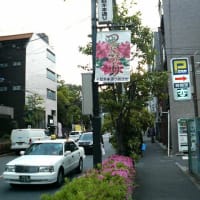 【東京メトロ全駅制覇の旅】(day2-2)千代田線・千駄木駅