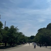 上野動物園周辺　2025.6.29