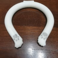 万博行くぞぉ～暑さ対策編～