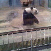 久しぶりの上野動物園