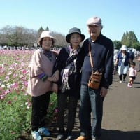 小さい秋みつけた  