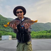 昨夜の夜釣り釣果　7月16日(水)