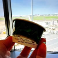 【羽田】JALの旅をハーゲンダッツ♡JAL国内線ダイヤモンドプレミアムラウンジ