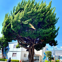 恐怖と不安ばかりがニュースですか❓