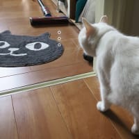不審な音にイカ耳