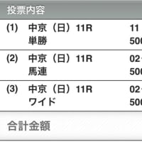 神戸新聞杯（結果）