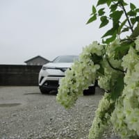 はてなブログに行こう！？移行できました