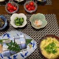 鯖の押し寿司