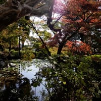 貫井神社へ