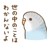 引っ越したのはいいけれど…