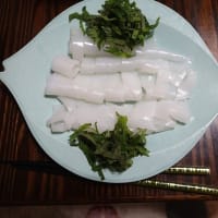 汐巻で、魚～イカのリレー釣り(2025/6/29)