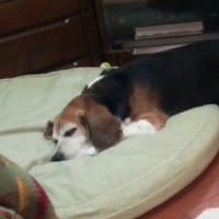 いつも右手が・・・