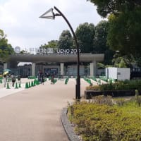 東照宮第一商店と鶯団子と動物園の風景