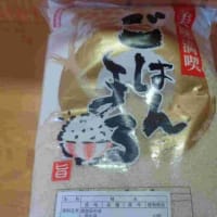 備蓄米の話題が続きます・・・(^-^;