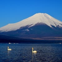 トミーの写真散歩！